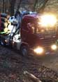 Scania R580 mit Epsilon Z bei Beladung im Forst