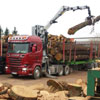 Holztransport und Verladung